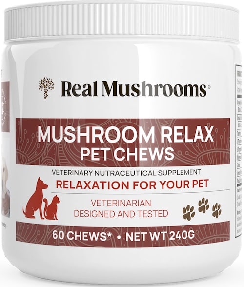 realmushrooms pet chew supplement sm