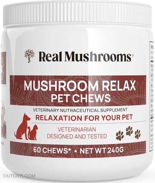 realmushrooms pet chew supplement sm
