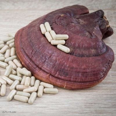 Reishi, an adaptogenic mushroom, the mushroom of immortality, 