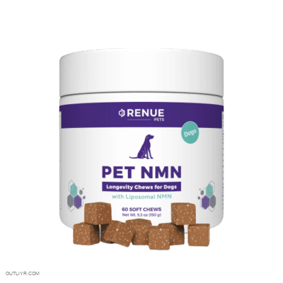 renue pet nmn dogs