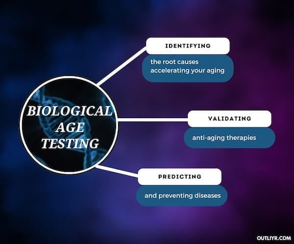 reversing biological age starts with quantification