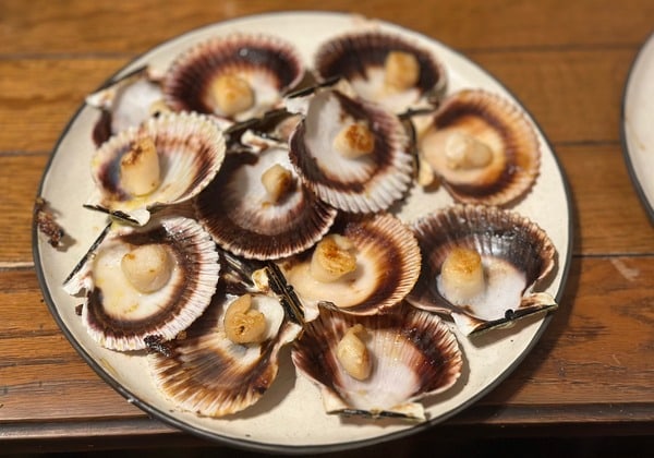 Seatopia SushiGrade Seafood Image 5