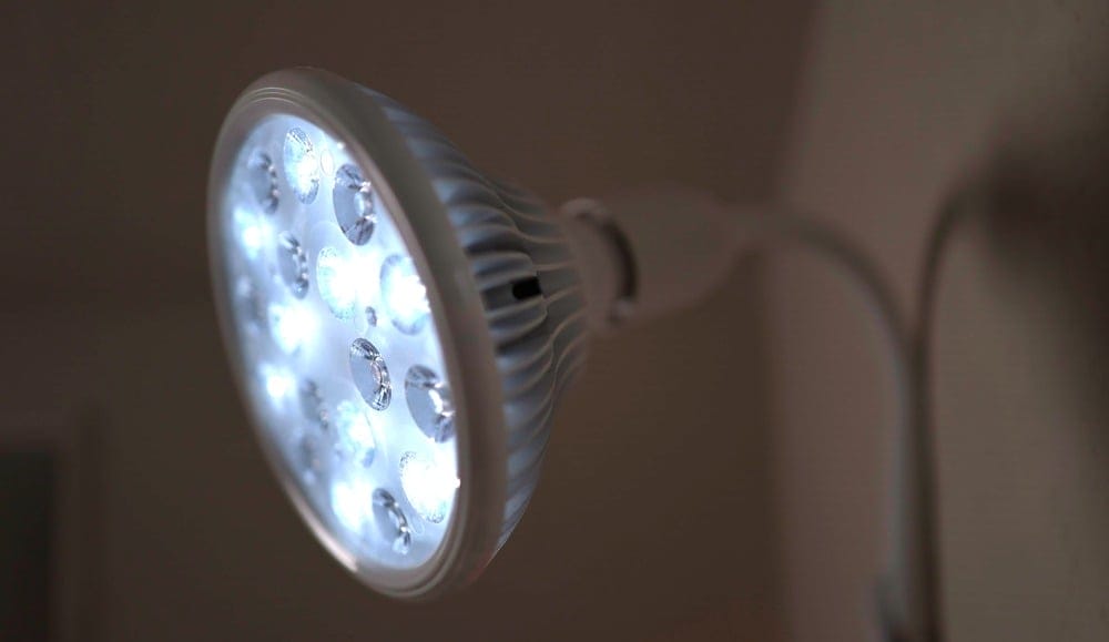 solshine biobulb on 1