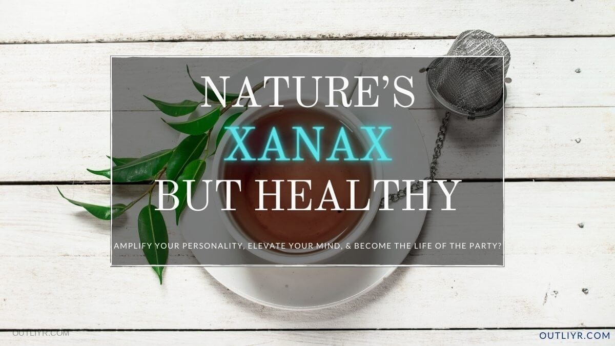 TRU KAVA Review: Elevate Your Mind & Chill With KAVAPLEX