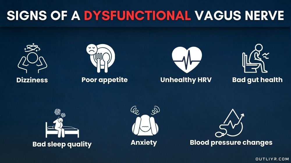 Different signs you have a dysfunctional vagus nerve