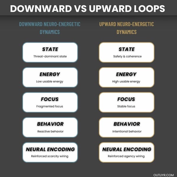 Differences between downward and upward loops
