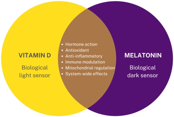 vitamind vs melatonin
