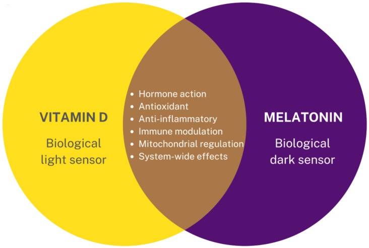 vitamind vs melatonin