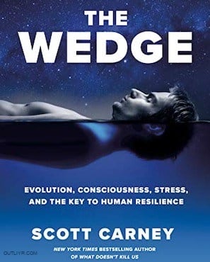 wedge carney