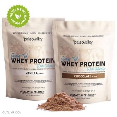 Paleovalley Whey Protein aids fast muscle recovery by providing essential amino acids that support muscle repair and growth after exercise